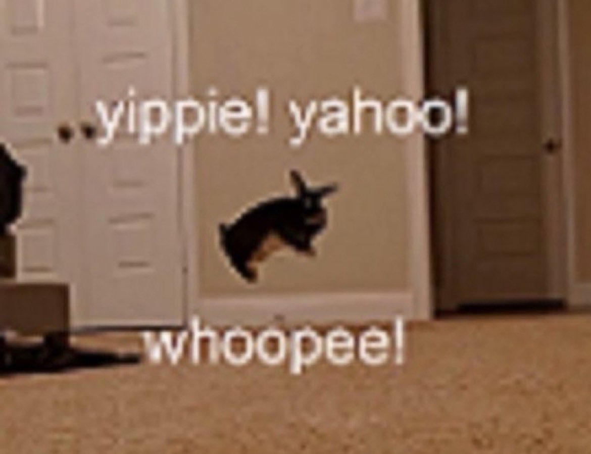 britt 🌻 tweet media