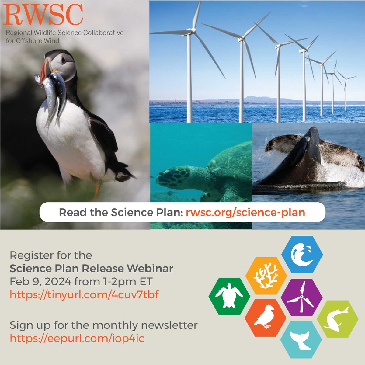 NEOceanData's tweet photo. NROC's joint initiative with @OurOceanMARCO, the Regional Wildlife Science Collaborative for Offshore Wind (RWSC), released the first regional offshore wind and wildlife Science Plan today! Many Portal users, work groups, and @NEOceanPlanning members contributed to this effort. https://t.co/8qT594SyQm