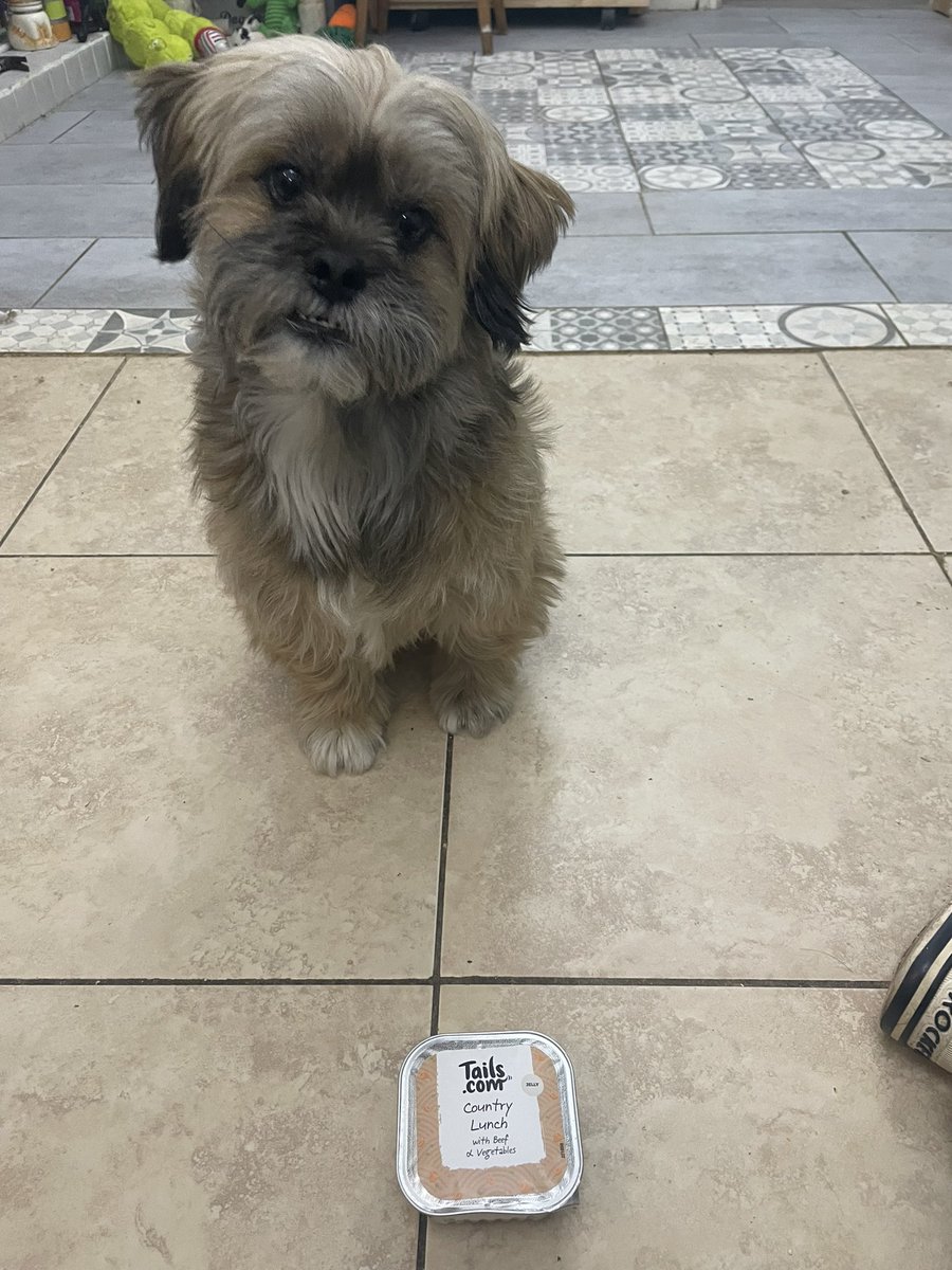 MsCassar's tweet photo. Hi @tailsdogfood 

Bear here. My mum tried to give me this tray of food but it is blown. Is it safe to eat or should she throw it away. 

Thank you https://t.co/pCzHkmvqYW