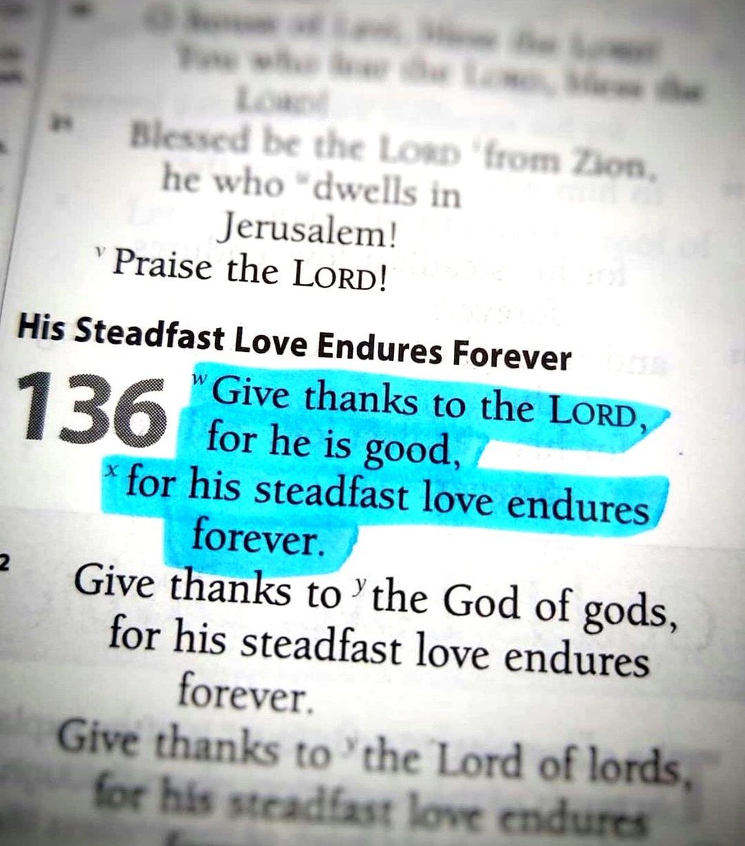 Chief Erican PhD tweet media