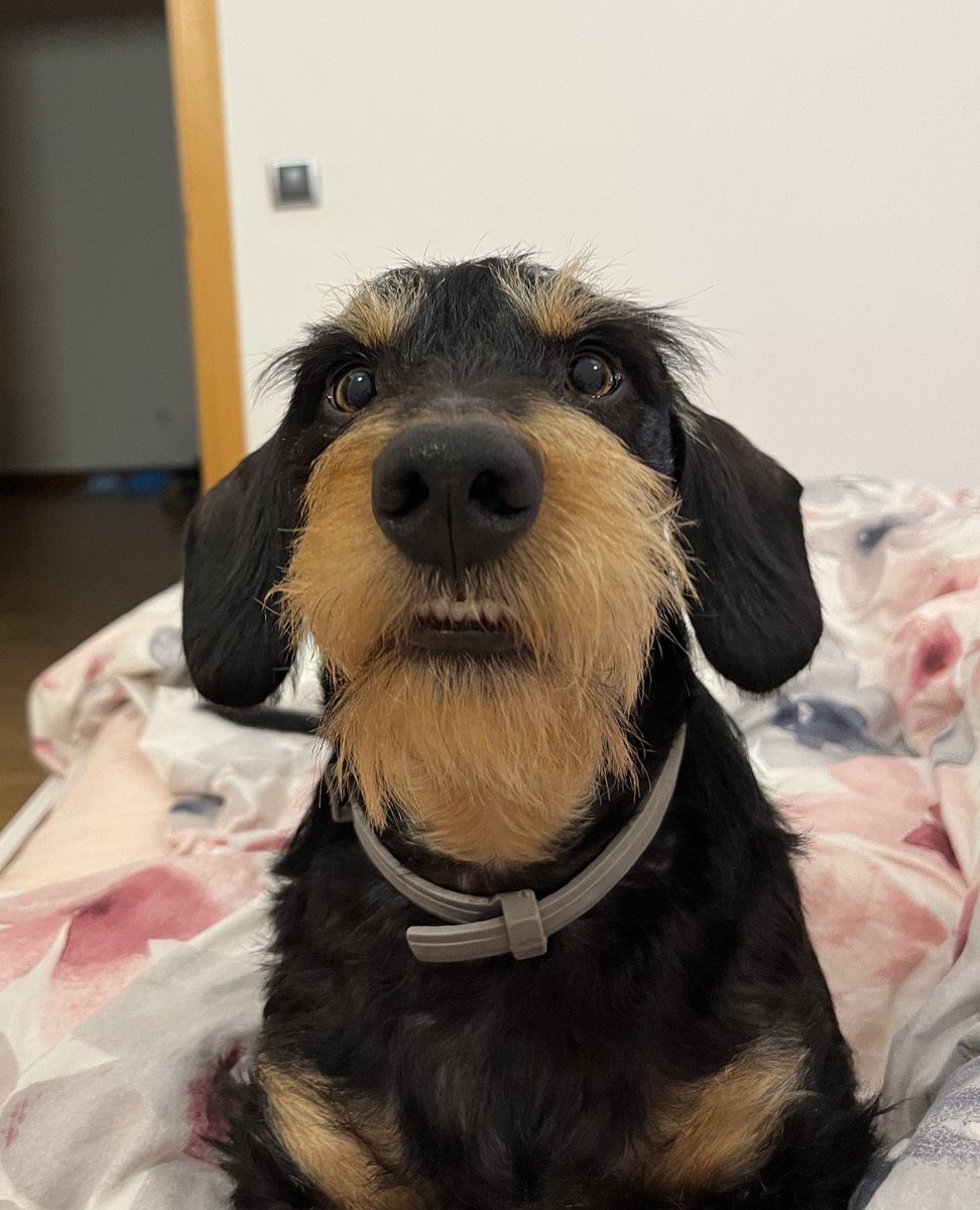 beatrizpoti's tweet photo. Los habrá más guapos, pero más simpáticos imposible 🥹 https://t.co/TTJcqBwuAK