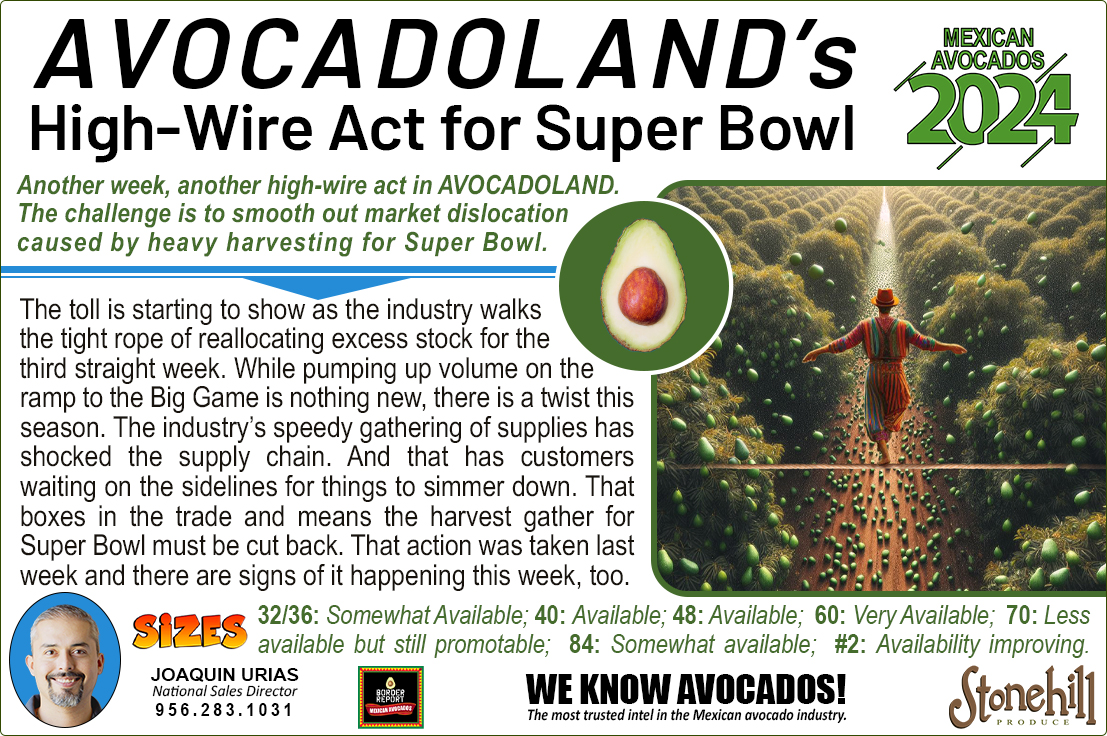 Another week in AVOCADOLAND, and Joaquin has the pulse on the 🥑 market as we ramp to the Big Game! 🏈

Get market intel, let’s talk #avocados, or get some orders going! Contact Joaquin at 956.283.1031 or email Joaquin@stonehillproduce.com

#grocery #retail #supermarketnews