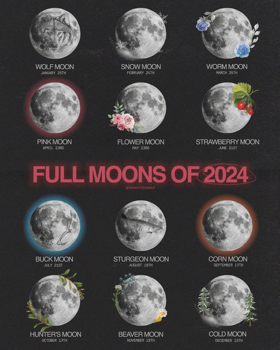 Flow Yoga tweet media