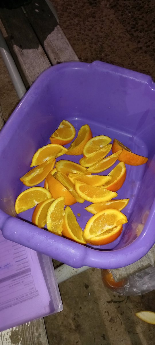 Match de poule contre le TRIC... c'est maintenant sur les installations du @ToecToacFct
Prêts pour la mi-temps....