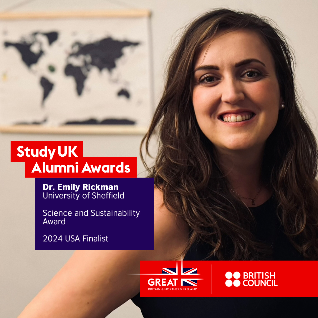 usaBritish tweet media