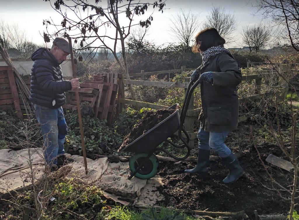 PlantingUp's tweet image. A Sunny Saturday in January in the Community Garden dlvr.it/T1tBmL