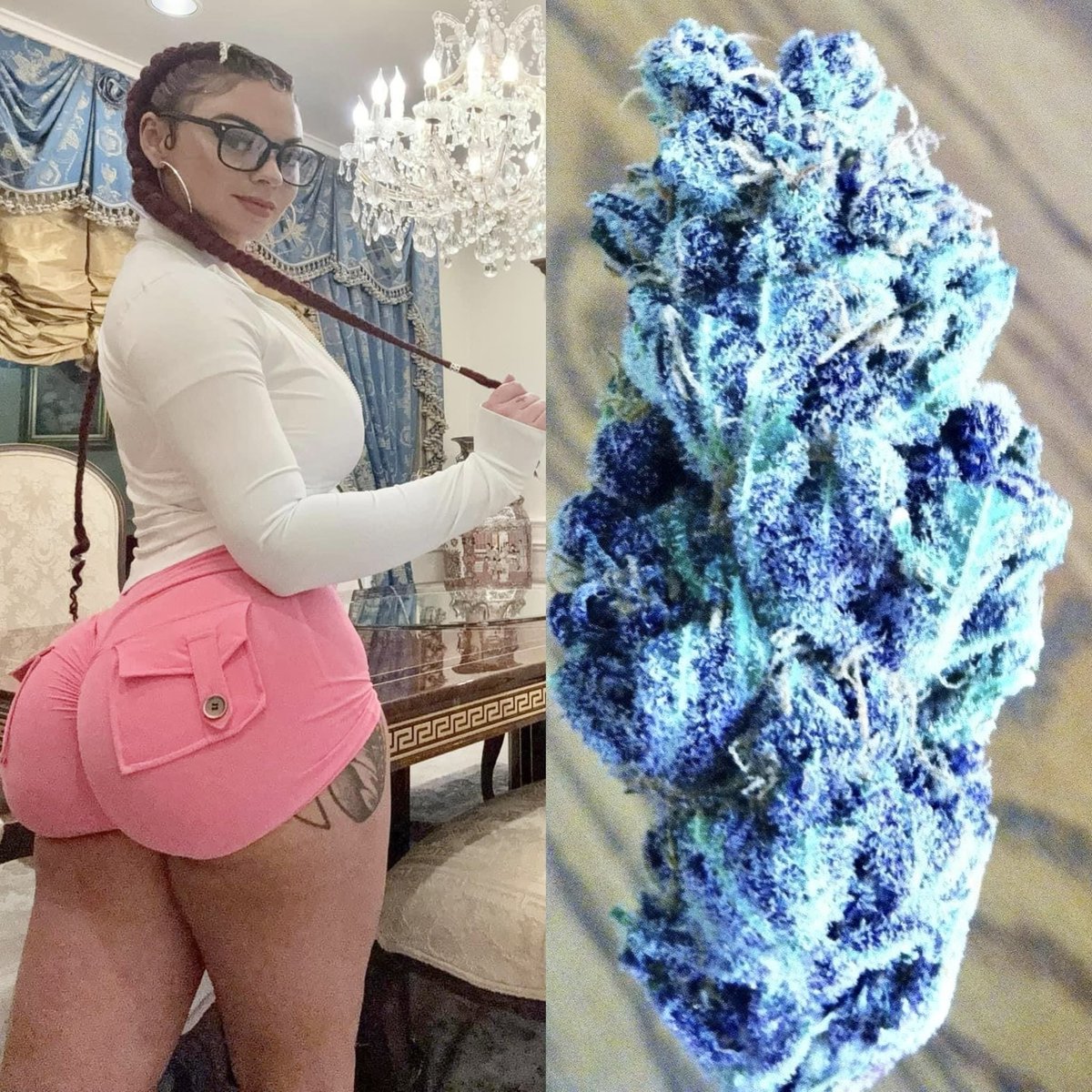 iFlyHigh™ 🎄 tweet media