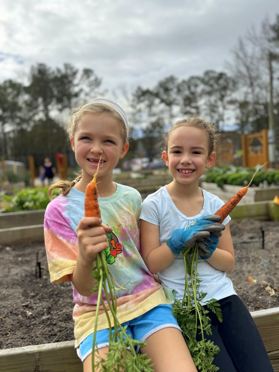We are grateful for a reprieve from the freezing temperatures, which allows us to gather our harvest to share with the @ChasCoLibrary to help our neighbors facing challenging times.