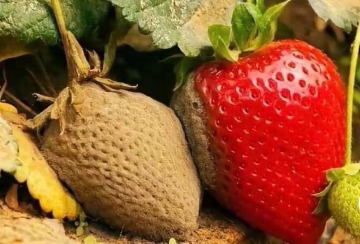 dunyadantip's tweet photo. Kendinize bir iyilik yapın ve negatif insanlardan uzak durun 🚫 https://t.co/dUaUyqZaXz