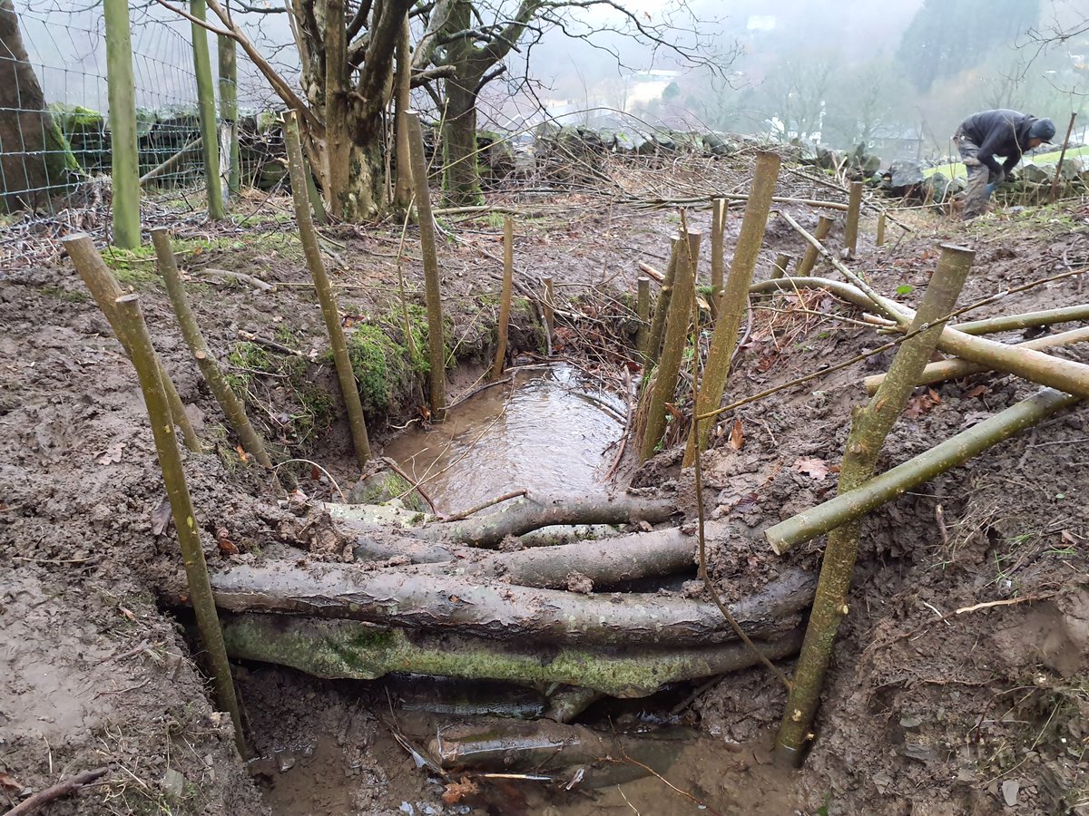 forus_tree's tweet photo. Busy with the latest project with tree thinning, willow coppicing, making leaky dams to help slow the flow of water and willow spilling to reduce erosion on the banking. Big thanks to Rika for volunteering with us this week. #NFM #leakydam #willowspilling #Naturalfloodmanagement https://t.co/k0Kpy0RXqV