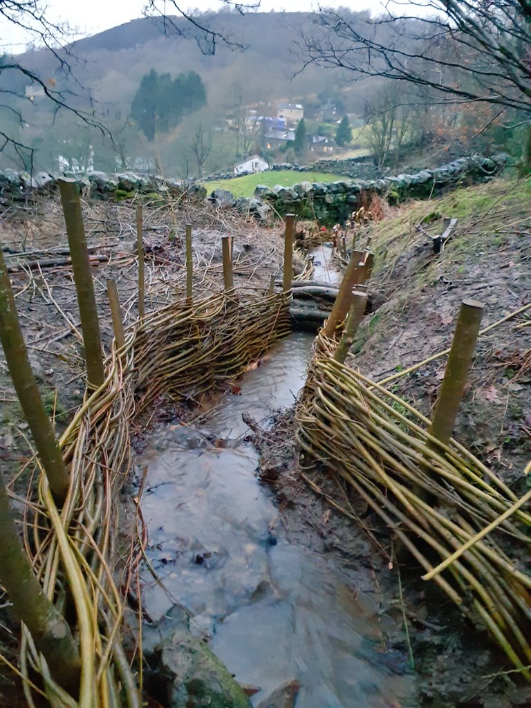 forus_tree's tweet photo. Busy with the latest project with tree thinning, willow coppicing, making leaky dams to help slow the flow of water and willow spilling to reduce erosion on the banking. Big thanks to Rika for volunteering with us this week. #NFM #leakydam #willowspilling #Naturalfloodmanagement https://t.co/k0Kpy0RXqV