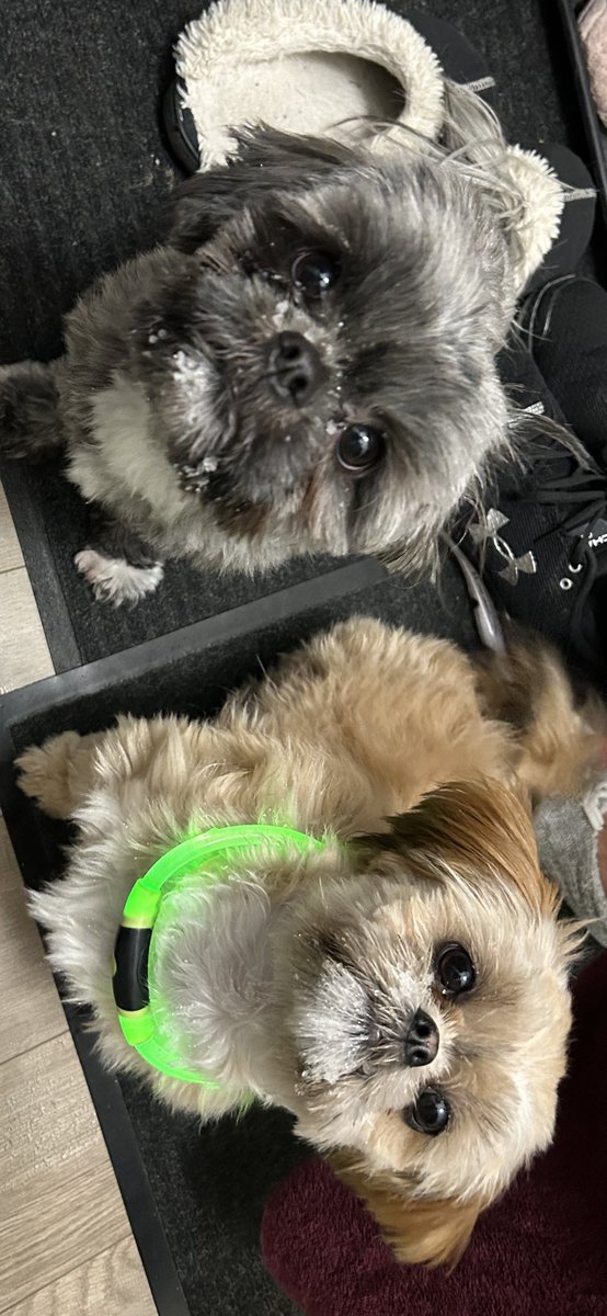 Redlion44's tweet image. This is so perfect