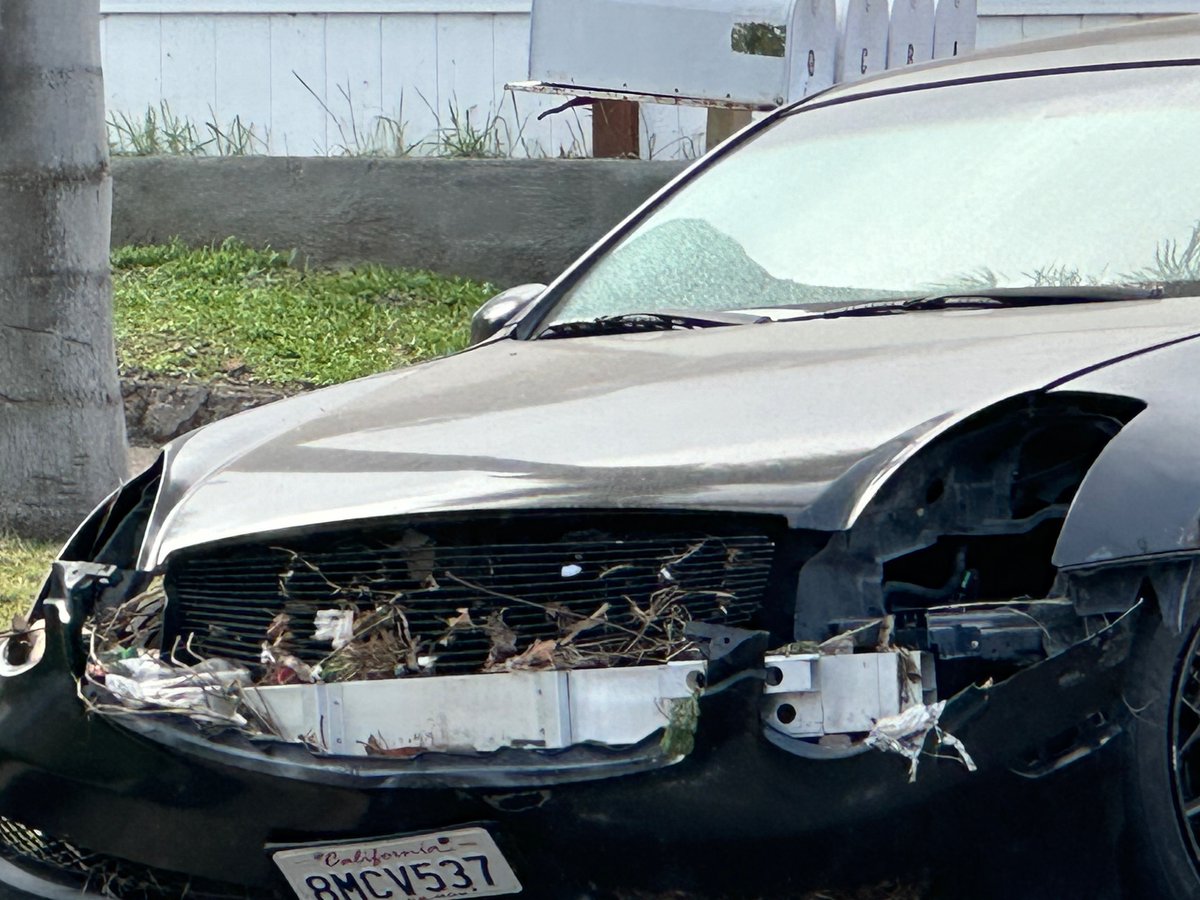 @SUHSDAdultEd @SWCtrustee This is how high the river that is called #Madera got in the #92114 #SanDiego 
Car is Parked on #Madera