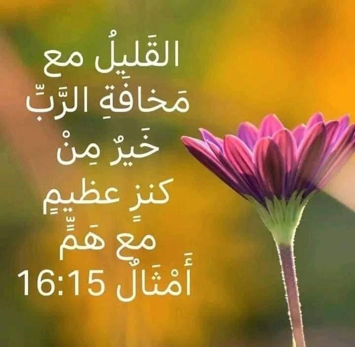 emad Abdelmalak (@emad92422281) on Twitter photo 