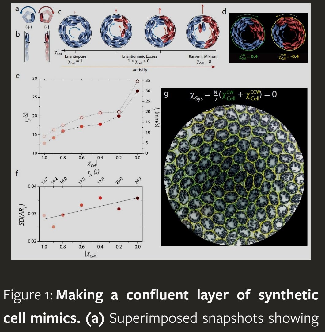 Heartiest congratulations @pragyaarora26!
Fascinating and impressive work!
#softmatter