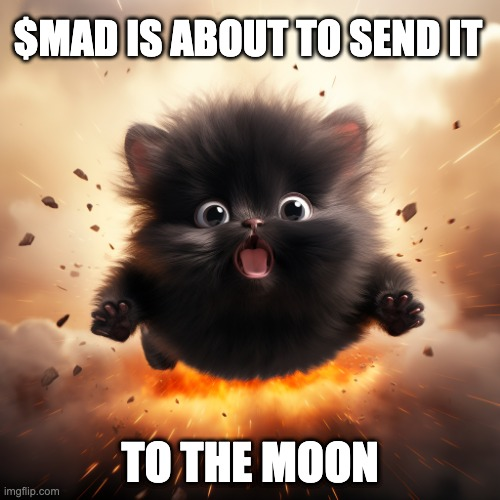 $MAD Sol tweet media