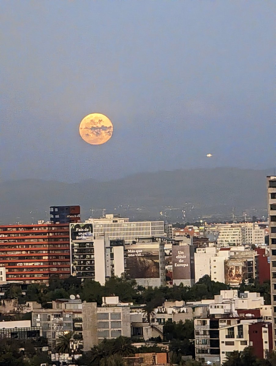 drmendozaz's tweet photo. Luna llena 🌝  #CDMX #LunaLlena https://t.co/L1IwENqpRw
