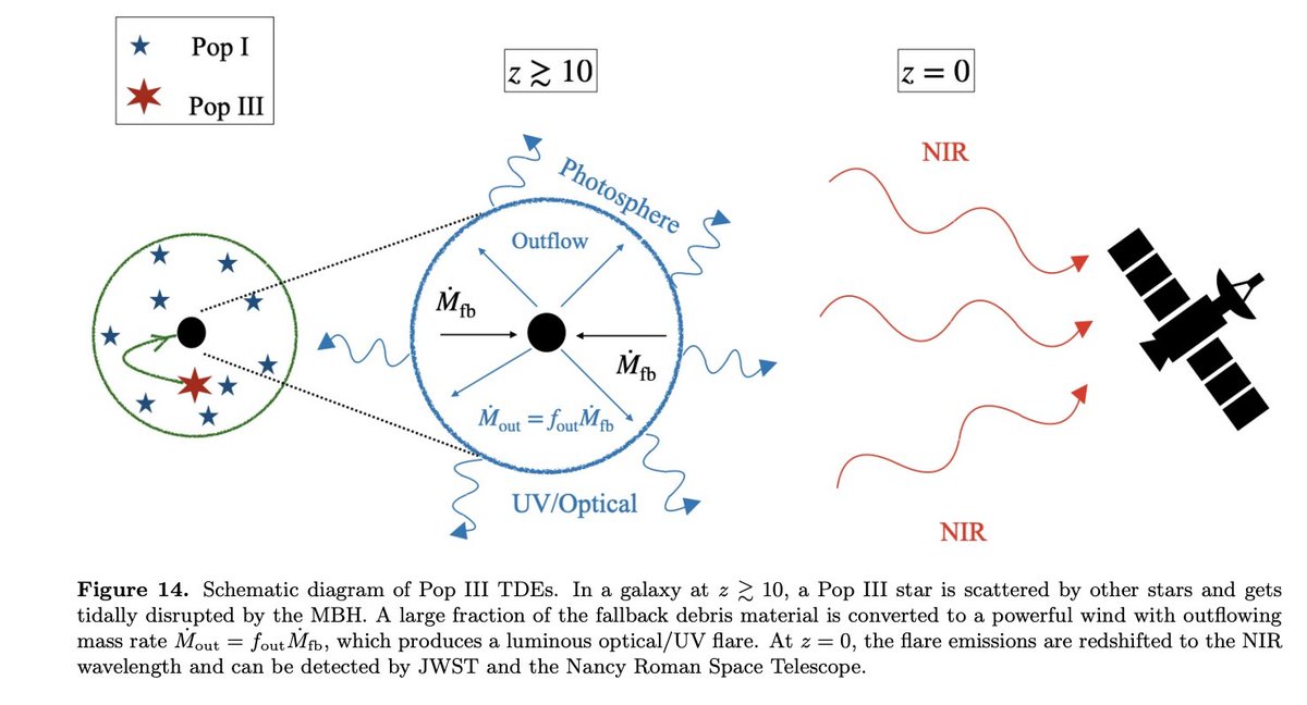 SheerPriya's tweet photo. New paper alert -- observational signatures of the tidal disruption of the first stars --- congrats! to Jane's student Rudrani who led the work - this was project that we had on the back burner for ages...delighted to see it done! 
https://t.co/vU2MfcbY3L https://t.co/Fx5HxvljB0