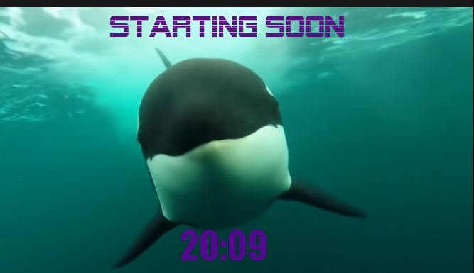 RRunner144's tweet photo. The Weekly @RainbowTrends stream is live and the show starts in 20minutes. See you there live and then off to the🌈 Discord for the afterparty where we do open mic/screen shares to do Q/As. 
🌈Stream:https://t.co/kTtj1vh3hk
🌈Discord:https://t.co/B0MZlnxQpk
🌈Website:https://t.co/HyT2kLRVwr

#Bitcoin #Streaming #Twitch #Crypto #RainbowTheory