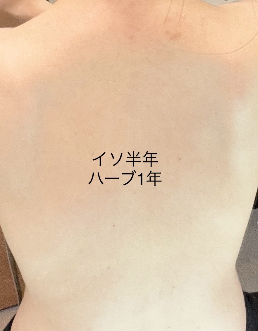 178せんち！！ tweet media