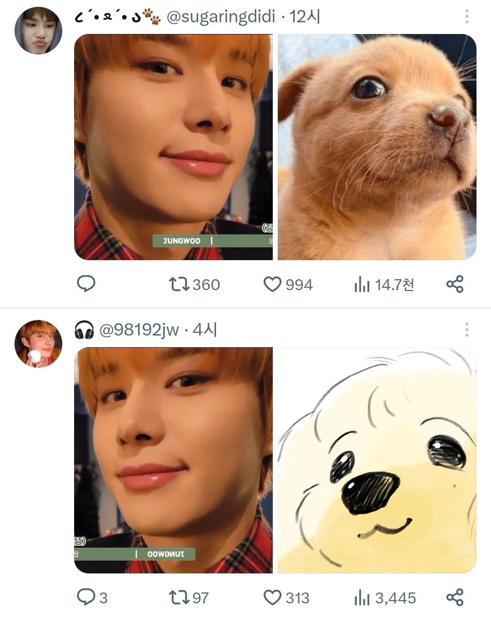 뭐야 내 추천탭 귀여워짐ㅋㅋㅋㅋㅋㅋㅋㅋㅋ