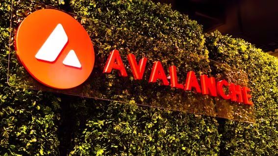 ThuanCapital's tweet photo. Avalanche Foundation đặt quy tắc cho kế hoạch mua Meme Coin

Avalanche Foundation đã "bắt đầu" mua một số memecoin bằng tiền từ quỹ "Culture Catalyst" trị giá 100 triệu USD của họ để hỗ trợ văn hóa meme trên Avalanche.

Để được xem xét, một dự án meme phải:

1- Meme coin phải độc lập với người sáng tạo và phải là phiên bản original được tạo ra trên blockchain Avalanche. Điều này có nghĩa là: 
- không có token phân bổ trước cho đội ngũ phát triển
- Nhóm người sáng tạo đã từ bỏ quyền sở hữu của hợp đồng mint
- Không phải là bản sao của các meme trên các blockchain khác
2. Ít nhất 2,000 người nắm giữ, trong đó 100 hodler lớn nhất sở hữu dưới 60% nguồn cung. 
3. Hơn 200,000 USD thanh khoản được cung cấp bởi ít nhất 50 nhà cung cấp. 
4. Ít nhất 1 triệu USD vốn hóa và có ít nhất 100,000 USD khối lượng giao dịch trung bình hàng ngày trong hai tuần.