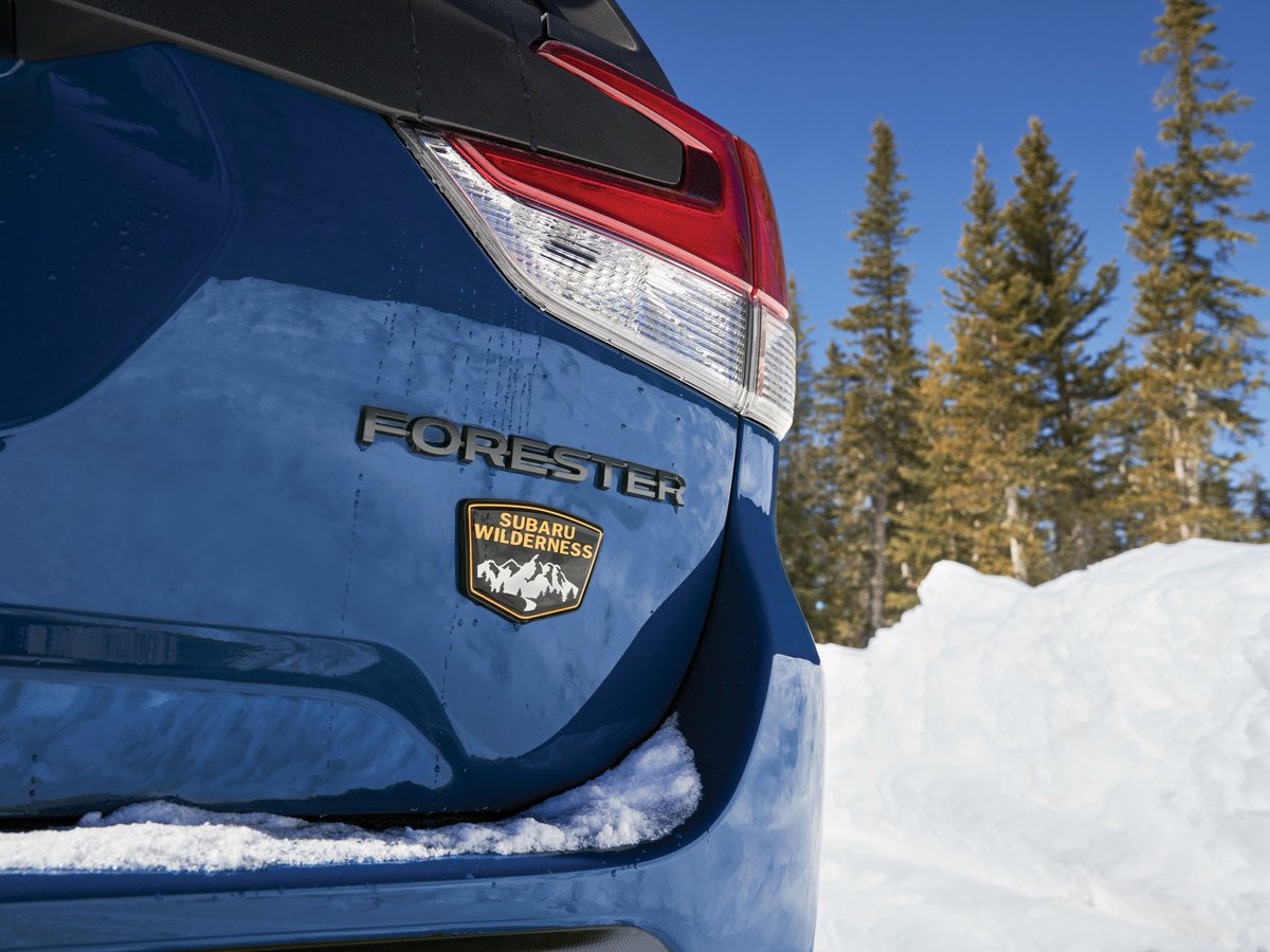 SangeraSubaru's tweet photo. No matter what road you take, the New 2024 Subaru Forester Wilderness is ready. See our inventory at Sangera Subaru today and pack up for your next adventure: https://t.co/c9c20oiImD

#winter #snow #offroad #subiefam https://t.co/jpOz56Fs0w