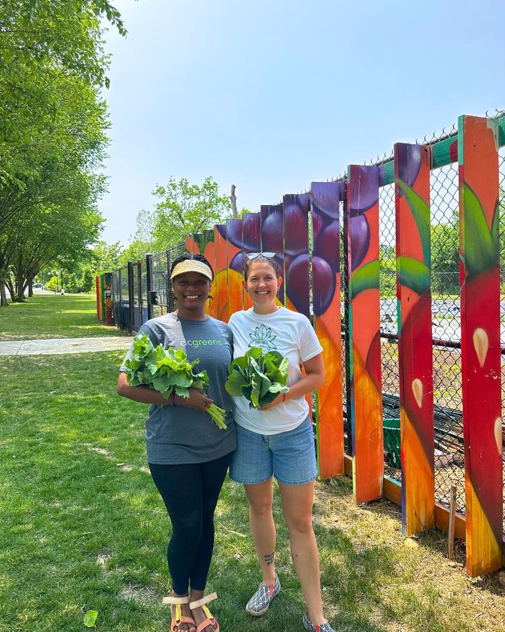 While we share a lot on our socials, did you know we also have a newsletter? 📰 Don't miss out on all the updates about our programs, like Produce Rx and @Ward8WELL! Sign up today 💚 >> bit.ly/3vLKkZH #DCGreens