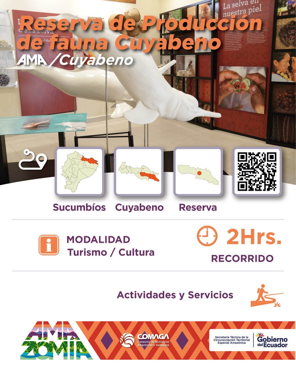 AMA CUYABENO, cantón de la provincia de Sucumbió un santuario en la Cuenca Amazónica. Pertenece al Sistema Nacional de Áreas Protegidas, destacando por su sistema hidrográfico. El ecoturismo promueve ingresos sostenibles y protección del ecosistema.