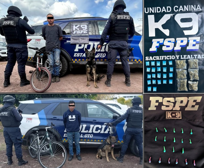 AlvarCdeV's tweet photo. Te comparto los resultados de @SeguridadGto logrados a través de las @FSPE_Gto tras patrullajes efectuados en el Estado de #Guanajuato.
✅ La policía #Cessy de la Unidad Canina #K9 de las #FSPE detuvo en #Pénjamo a quien se identificó como Francisco “N” de 26 años de edad en posesión de 53 dosis de mariguana y 22 dosis de cristal. Mientras que en #Cortazar, el oficial canino #Fonsi detuvo a quien dijo llamarse Ramiro “N” de 41 años de edad, con 19 dosis de cristal.
✅ Tras una breve persecución en #Salvatierra, elementos de las #FSPE lograron detener a quienes se identificaron como Francisco “N” de 20 años, Héctor “N” de 21 y Yair “N” de 19 años de edad; que estaban en posesión de un arma de fuego corta calibre .9 mm, con un cargador metálico abastecido con 14 cartuchos útiles del mismo calibre. En un hecho distinto ocurrido en #Cortazar y tras realizar recorridos de patrullaje, aseguraron un par de armas de fuego largas tipo chisperas.
✅ A través de patrullajes implementados en la entidad por elementos de las #FSPE, fueron detenidos cuatro hombres que en conjunto estaban en posesión de 78 dosis de droga con las características del cristal y la mariguana. Los hechos se registraron en los municipios de #Abasolo, #DoctorMora, #Villagrán y #Tarimoro. Los detenidos se identificaron como Miguel “N” de 33 años, José “N” de 23 años, José “N” de 35 años y Epifanio “N” de 44 años de edad.
✅ A través de labores de vigilancia realizadas en los municipios de #ApaseoElGrande y #Tarimoro, elementos de las #FSPE recuperaron tres motocicletas que presentaban reporte de robo al momento de su localización. Hay un detenido quien se idenificó como Alejandro “N” de 21 años de edad.
En todos los casos, tanto las personas, las armas de fuego, la droga y las motocicletas, fueron aseguradas y puestas a disposición de la autoridad competente.
#AccionesFSPE
#GuanajuatoSeguro
25 enero 2024
@gobiernogto @diegosinhue @SeguridadGto