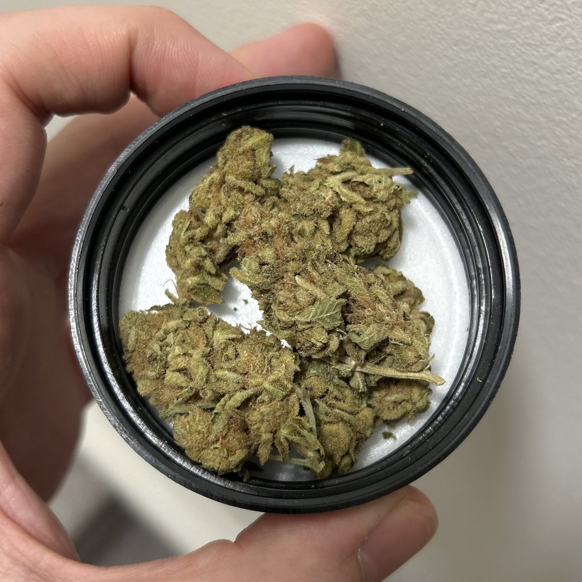 Animal Face #10 Bobs Better Buds via <a href="/VertieCannabis/">Vertie</a> 

This one looks, smells and tastes like hay 👎🏼 really really bad. Def not a $33 product especially when you can buy <a href="/SmokerFarms/">Smoker Farms</a> or 1964 <a href="/RubiconOrganics/">RubiconOrganics</a> with that money.