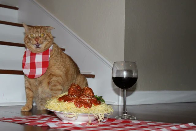 gattocciao's tweet photo. #AfterADaysWork
I like a nice meal and a glass of wineππ· https://t.co/8dc2HrCNiU