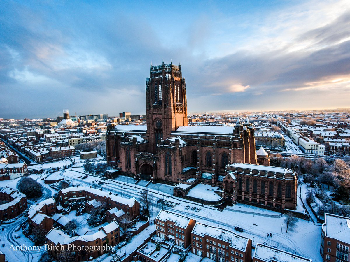 Would Really Appreciate As Many Shares As Possible ❤️❤️