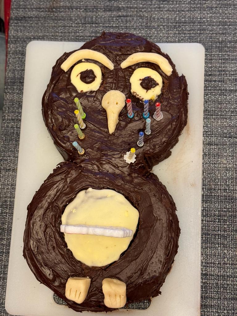 My 17 yr old wanted an owl birthday cake and sent a photo of her fave design. My dad (81 yrs) decided he'd make it. I've no idea why as he's a retired power station design engineer. He unveiled his cake (2nd photo) with a flourish and  I laughed so hard tea shot out my nose.