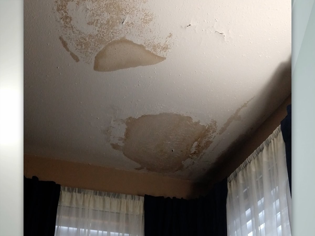 JeffPrevalTV's tweet photo. There are mold concerns at a senior living complex in Cheektowaga after recent storms. @news4buffalo #Call4Action at 5/6. https://t.co/AThtjUsaMt