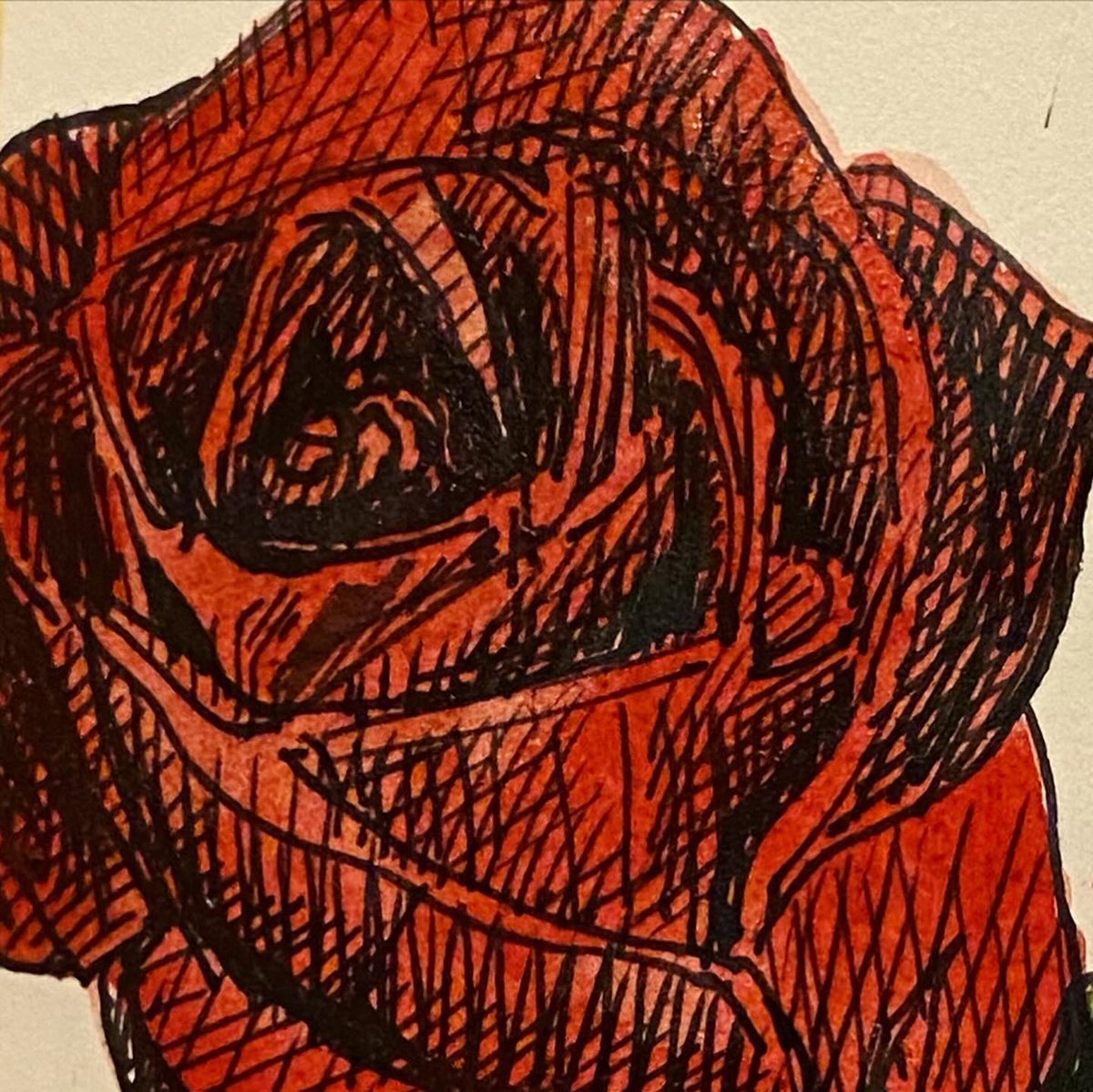 My love is like a red red rose. It had to be a red rose tonight for Robert Burns who was born on this date in 1759. #100flowersin100Days #floralart #100dayproject #createeveryday #lookatthedetails #burnsnight #robertburns #robertburnsnight