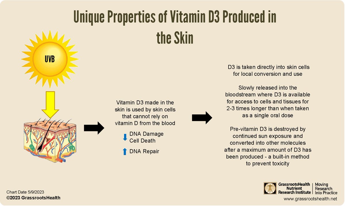 Grassroots4VitD's tweet image. How is vitamin D made by the sun different from supplements? Vitamin D toxicity is not possible when generating Vitamin D from sun exposure. Vitamin D3 generated by sunshine exposure is also available to the body 2-3 times longer. buff.ly/3OfiknC #VitaminD #Sunshine