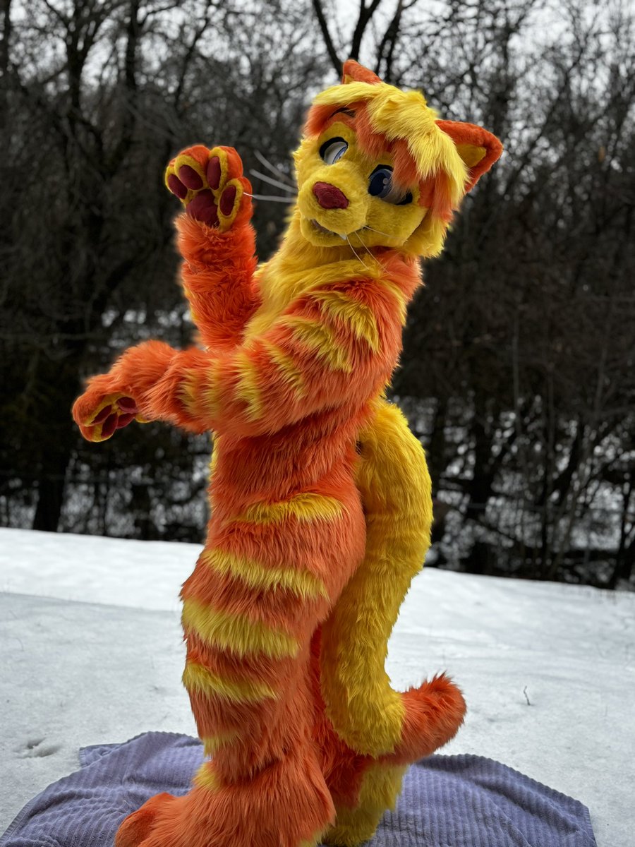 FoxandHoundFurs's tweet photo. Fox and hounds first kitty is ready to play with string and push things off tables!

#furry #fursuitmaker #fursuit https://t.co/HpESV87pav