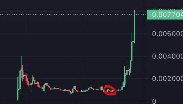 Aurora Alpha tweet media