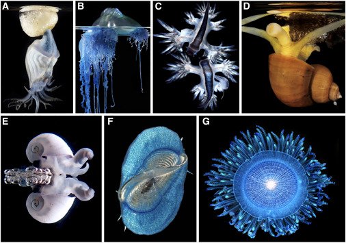 Colin Anthony tweet media