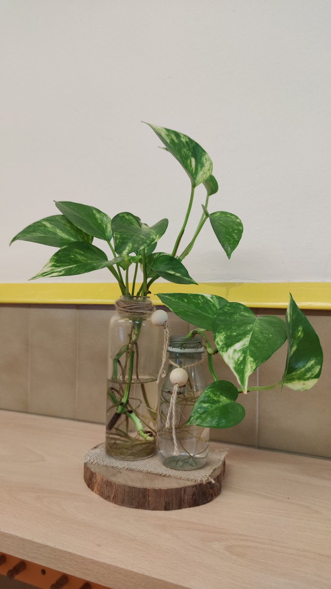 Avui hem finalitzat l'estada a l'<a href="/EscolaMillet/">Institut Escola Lluís Millet</a>. Ens hem impregnat de 8 anys de transformació, d'una manera d'entendre l'aprenentatge partint dels infants i del desenvolupament de la seva autonomia i autoestima. Gran labor i gran equip de persones i processionals. Moltes gràcies!