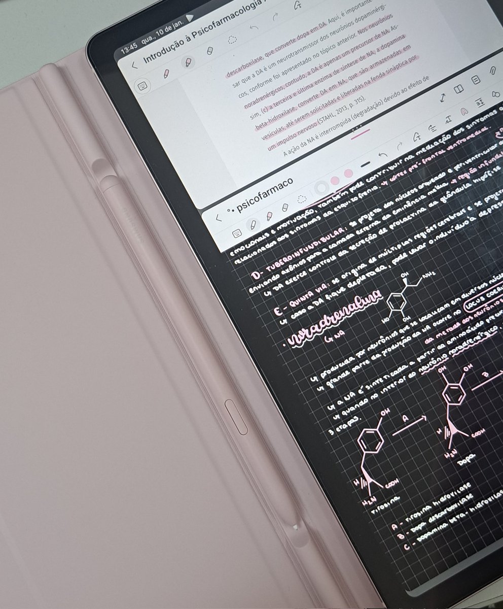 ggi_study's tweet image. ❥ como eu faço meus resumos no samsung notes!! 

°•  a thread: