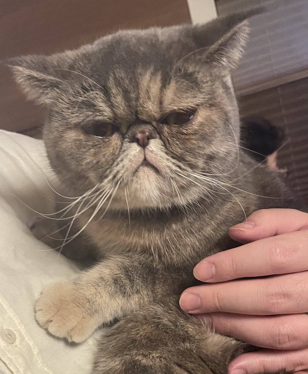 ごろごろ言いながら怒ってる、どっち🤣