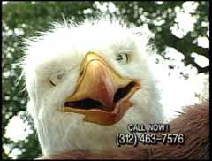 mailsf's tweet photo. @BlockClubCHI It must be Eagle Man! https://t.co/0CRhfKtIlS