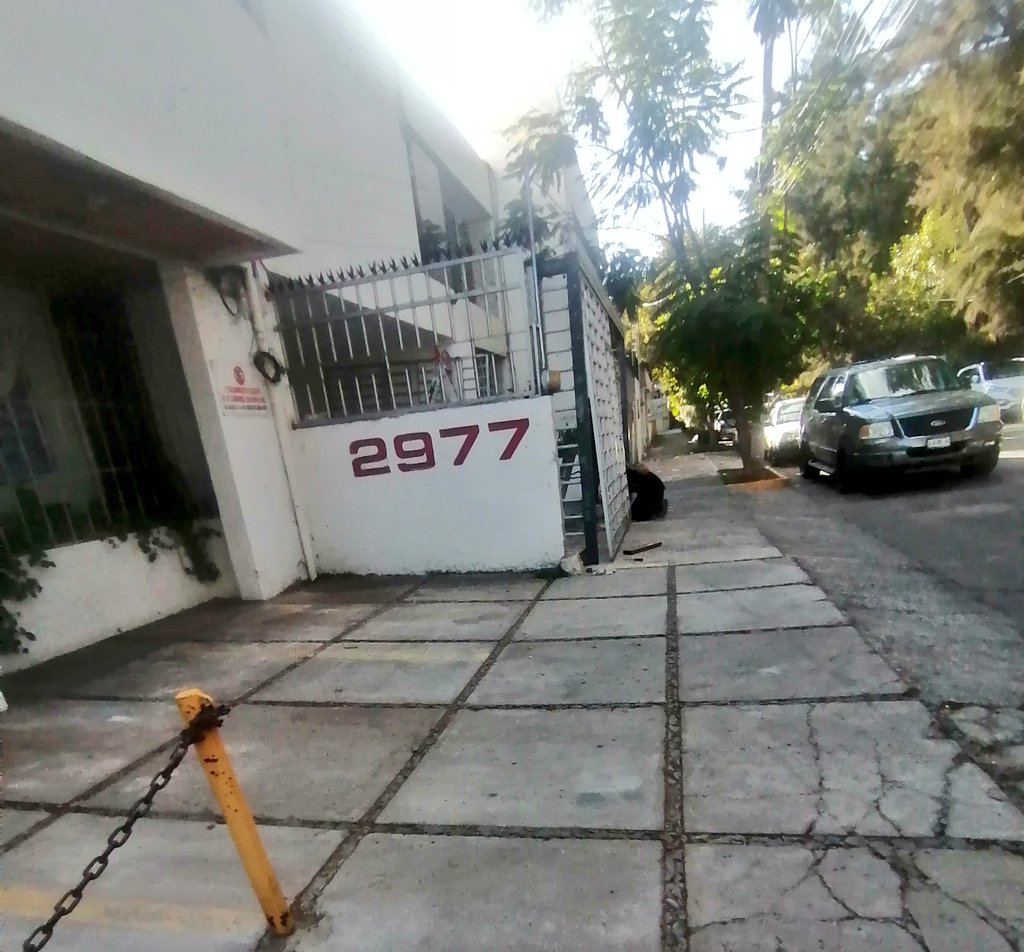 GdlYaya's tweet photo. Qué bien, ya le estamos robando espacio a la banqueta con canceles embarazados, lo están haciendo en este momento en Bogotá 2983, entre Montevideo y Providencia, @GdlMovilidad @Pierovegayahooc @conVIVEgdl https://t.co/Eer7HnNNEP