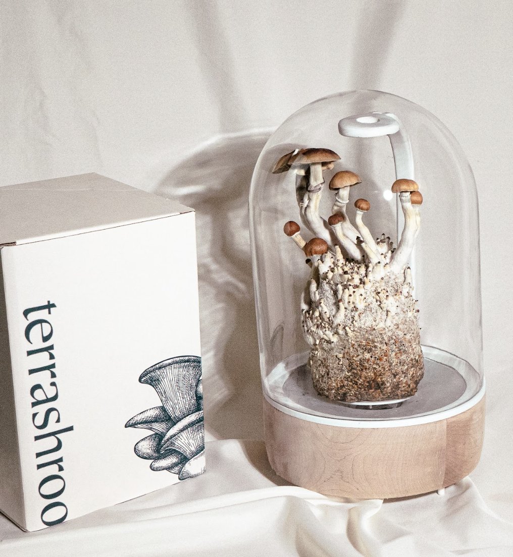 Forgetting one thing🍄