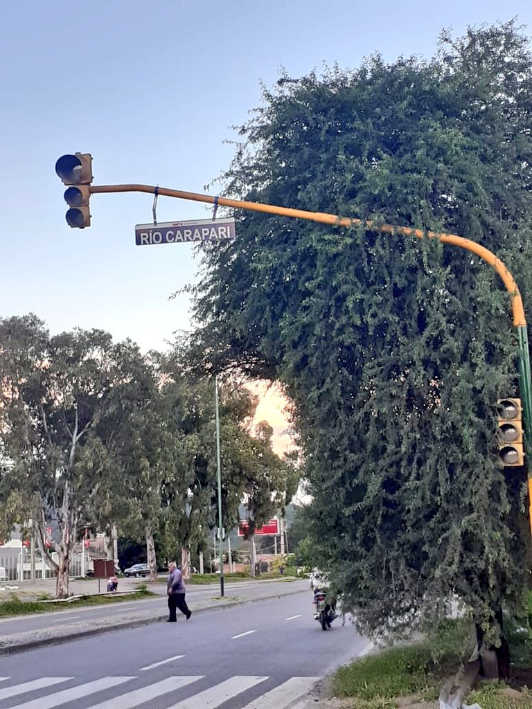 GEuX-s_X0AAZnpv?format=jpg&name=medium