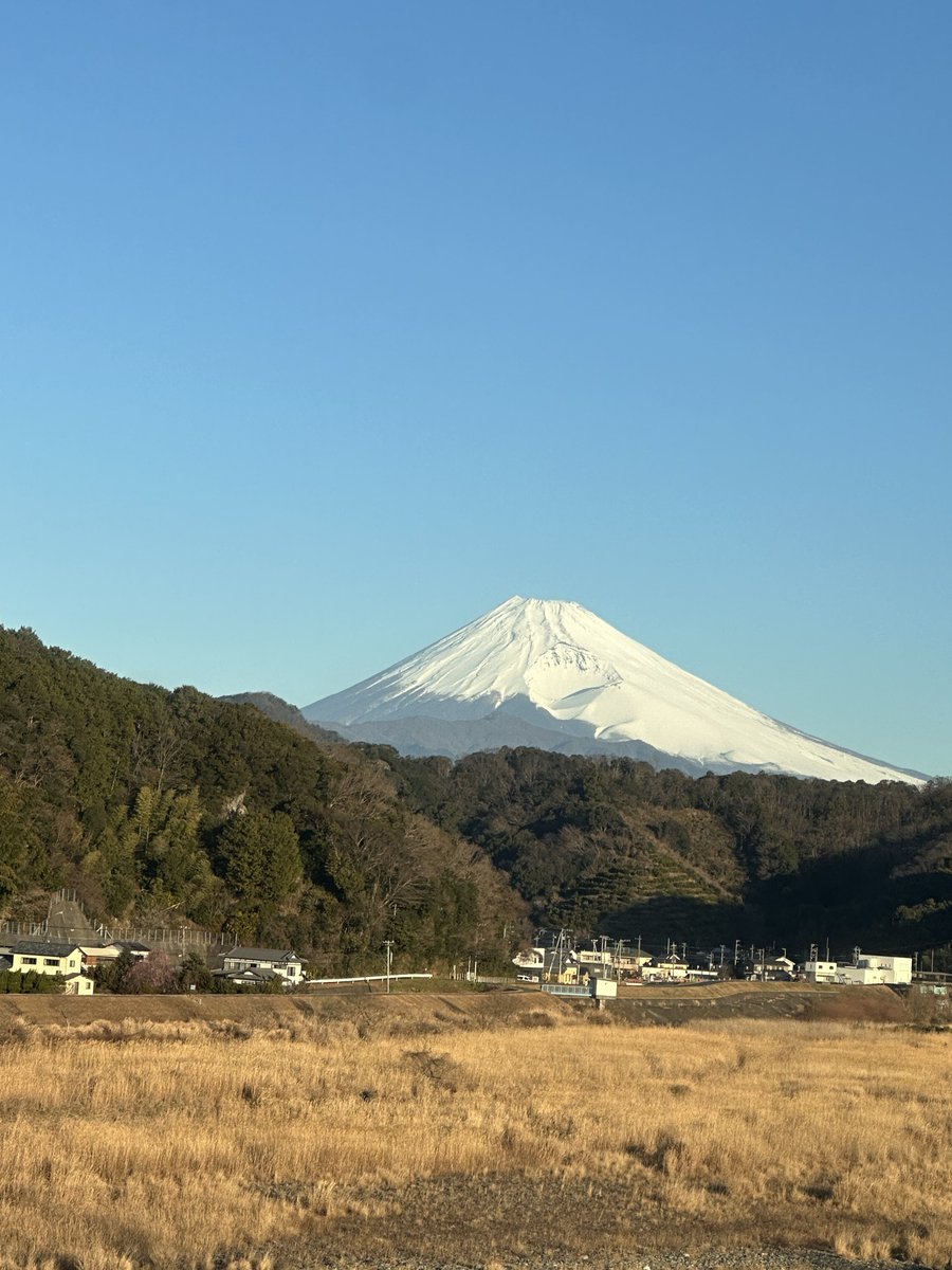 🗻🐕‍🦺🐕‍🦺🏃‍♀️💨