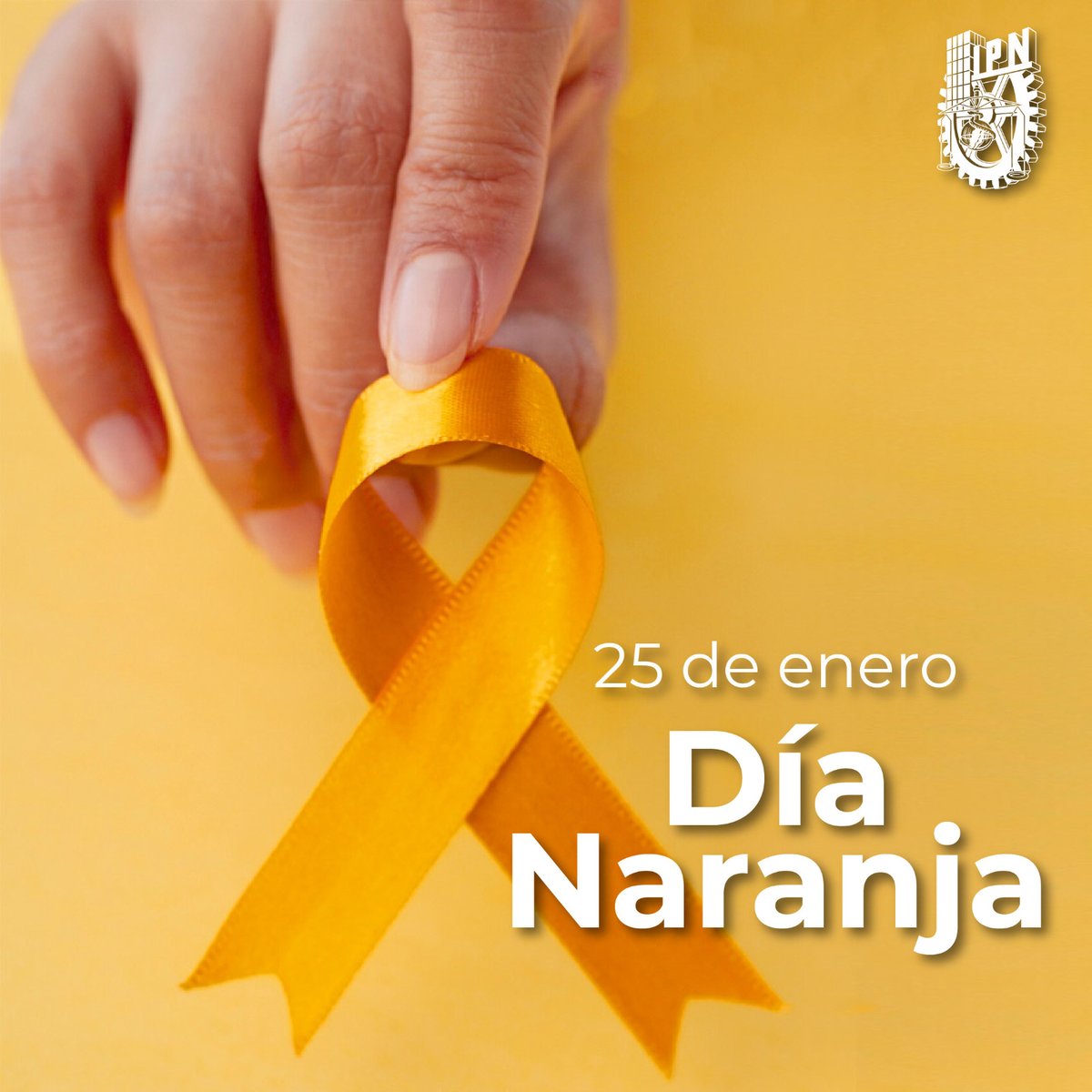 🟧📙🔶🍊🔸🧡🟠

Sin distinción de género, usamos el color naranja los  25 de cada mes, porque visibilizamos la violencia contra la mujer y actúamos para erradicarla de nuestra #ComunidadPolitécnica

Conoce más, actúa más:
ipn.mx/genero/eventos…… 
#DiaNaranja 

Cultura de paz 🕊️