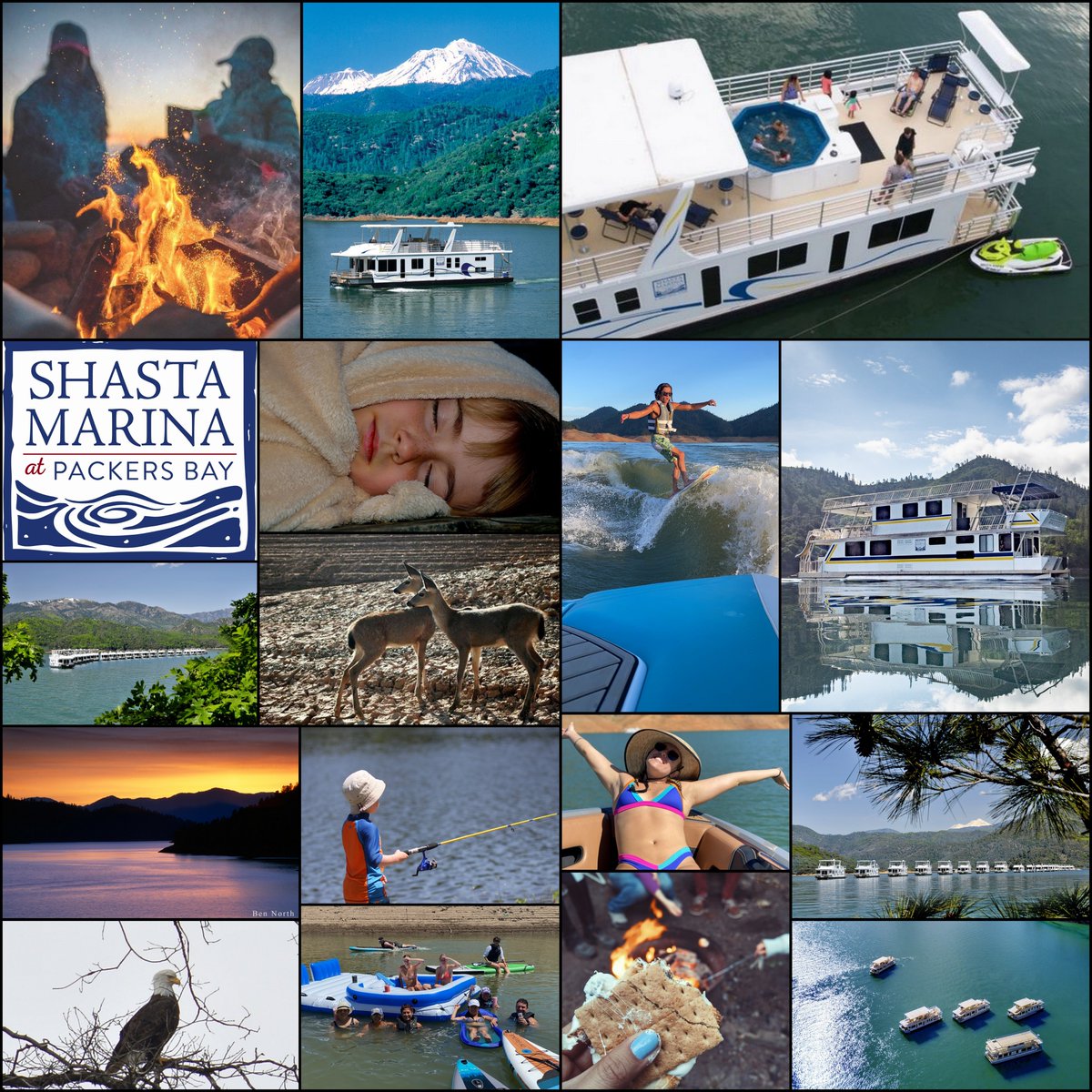 Shasta Marina Resort at Packers Bay tweet media